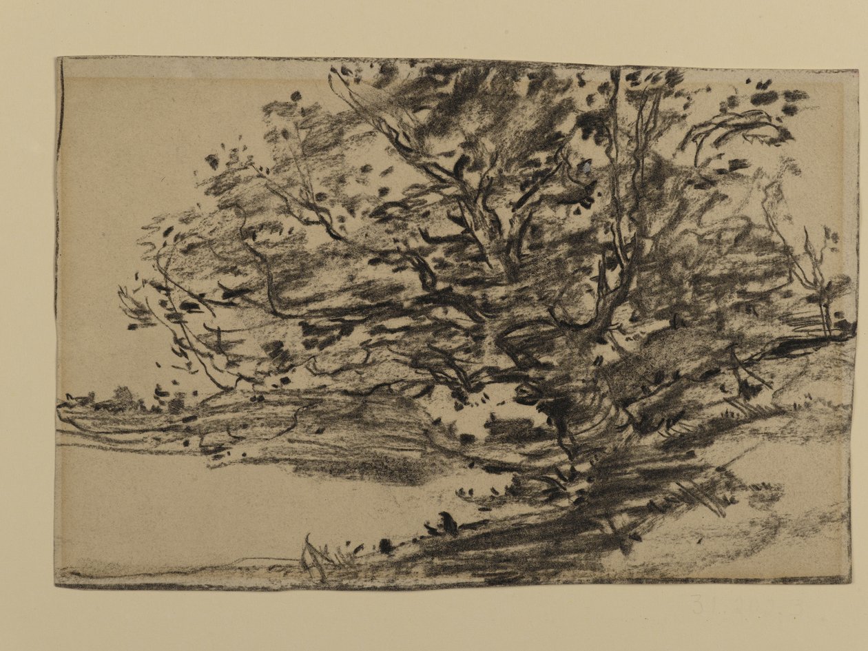 Estudio de árboles, 1870 de Joseph Frank Currier