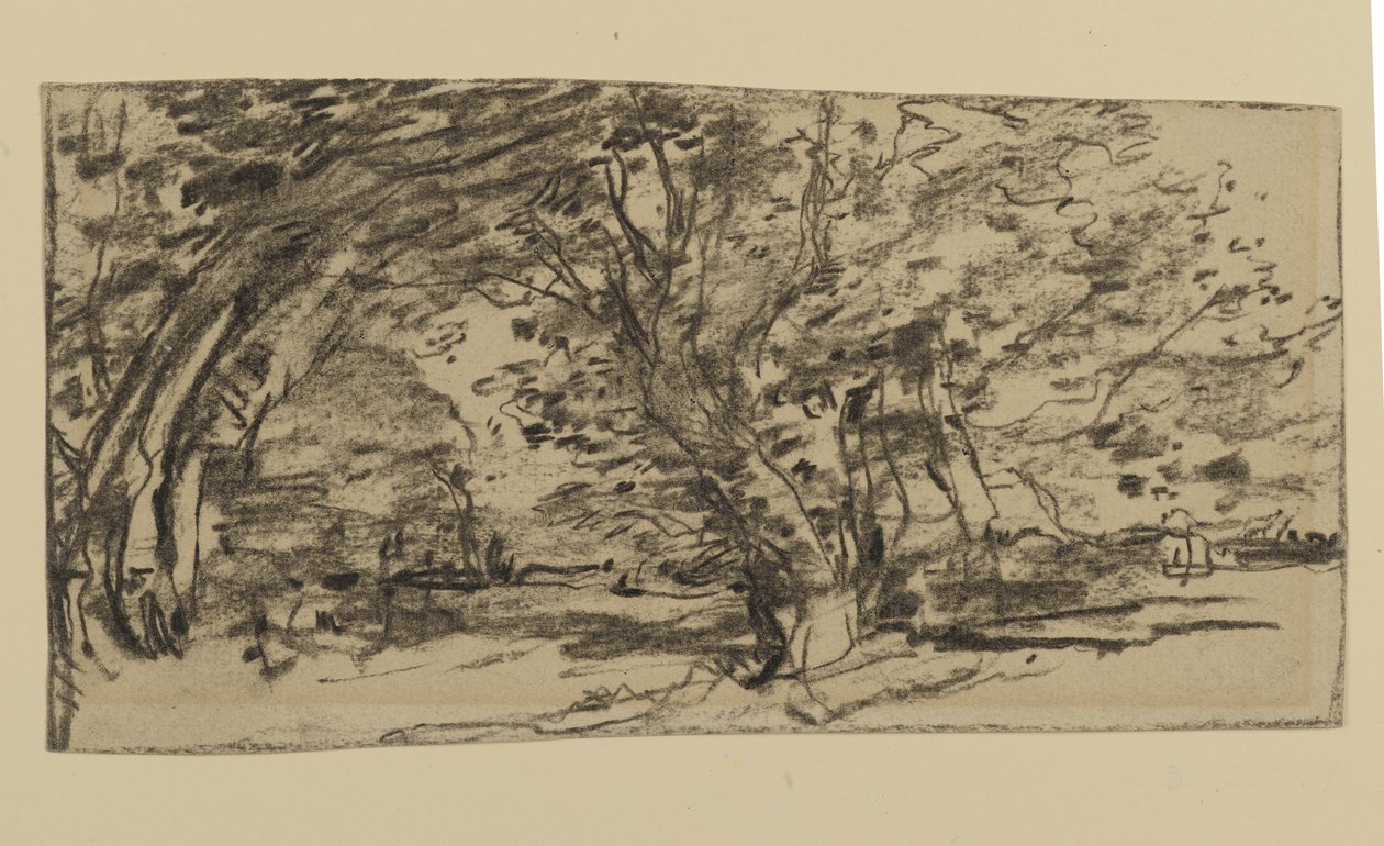 Estudio de árboles, 1870 de Joseph Frank Currier