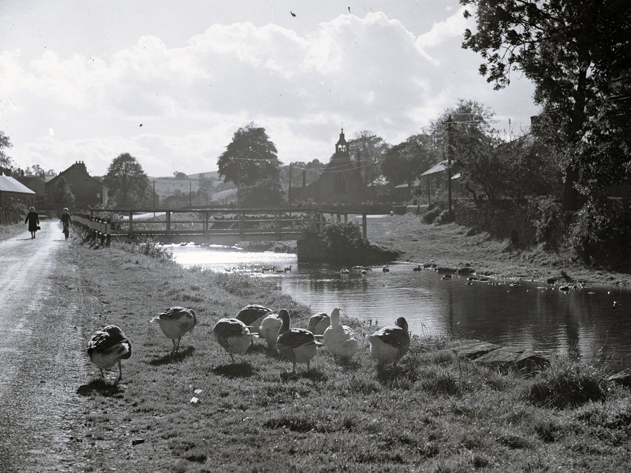 Vista de un arroyo con puente sobre él, en primer plano gansos y al fondo edificios y lo que parece ser una iglesia; arquitectura; religiosa; eclesiástica; de Joseph Hardman