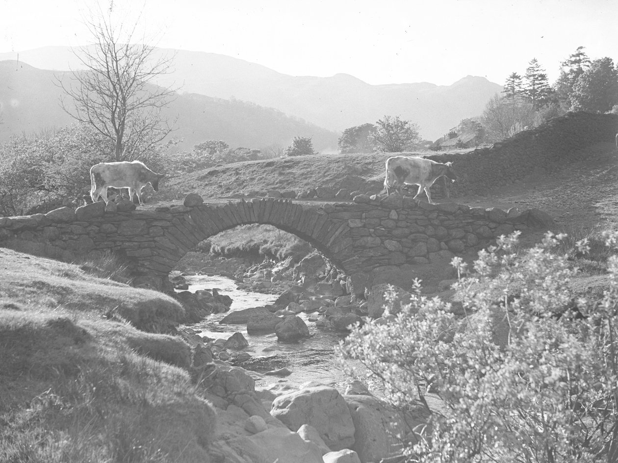Vacas caminando sobre un puente de piedra con un arroyo debajo de Joseph Hardman