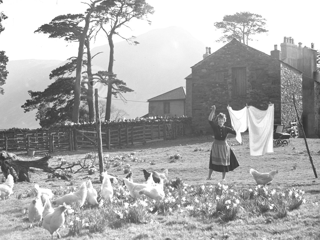 Esposa de granjero tendiendo la colada con aves de corral en primer plano en Loweswater de Joseph Hardman
