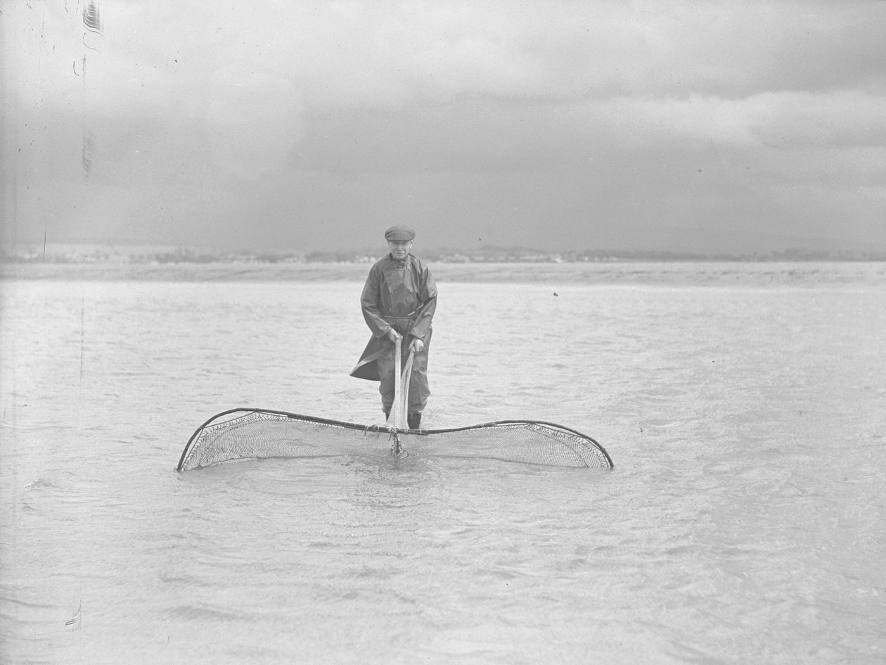 Pescador con una gran red en aguas poco profundas de Joseph Hardman