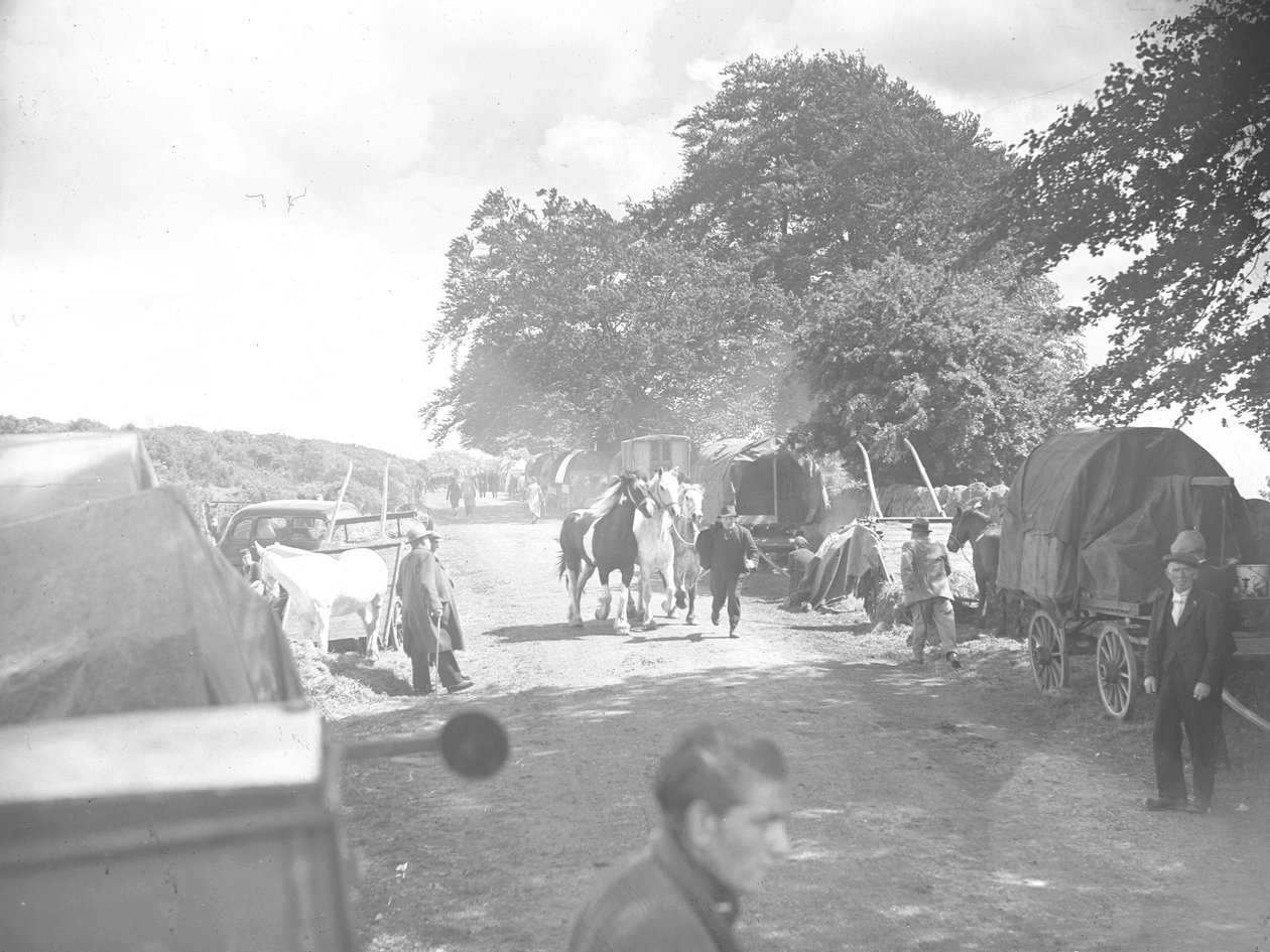 Caballos conducidos por carretera en Appleby con caravanas y coches en los arcenes de Joseph Hardman