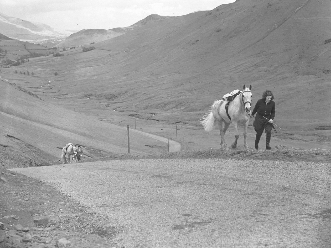 Caballos conducidos a un puerto de montaña por jinetes que han desmontado de Joseph Hardman