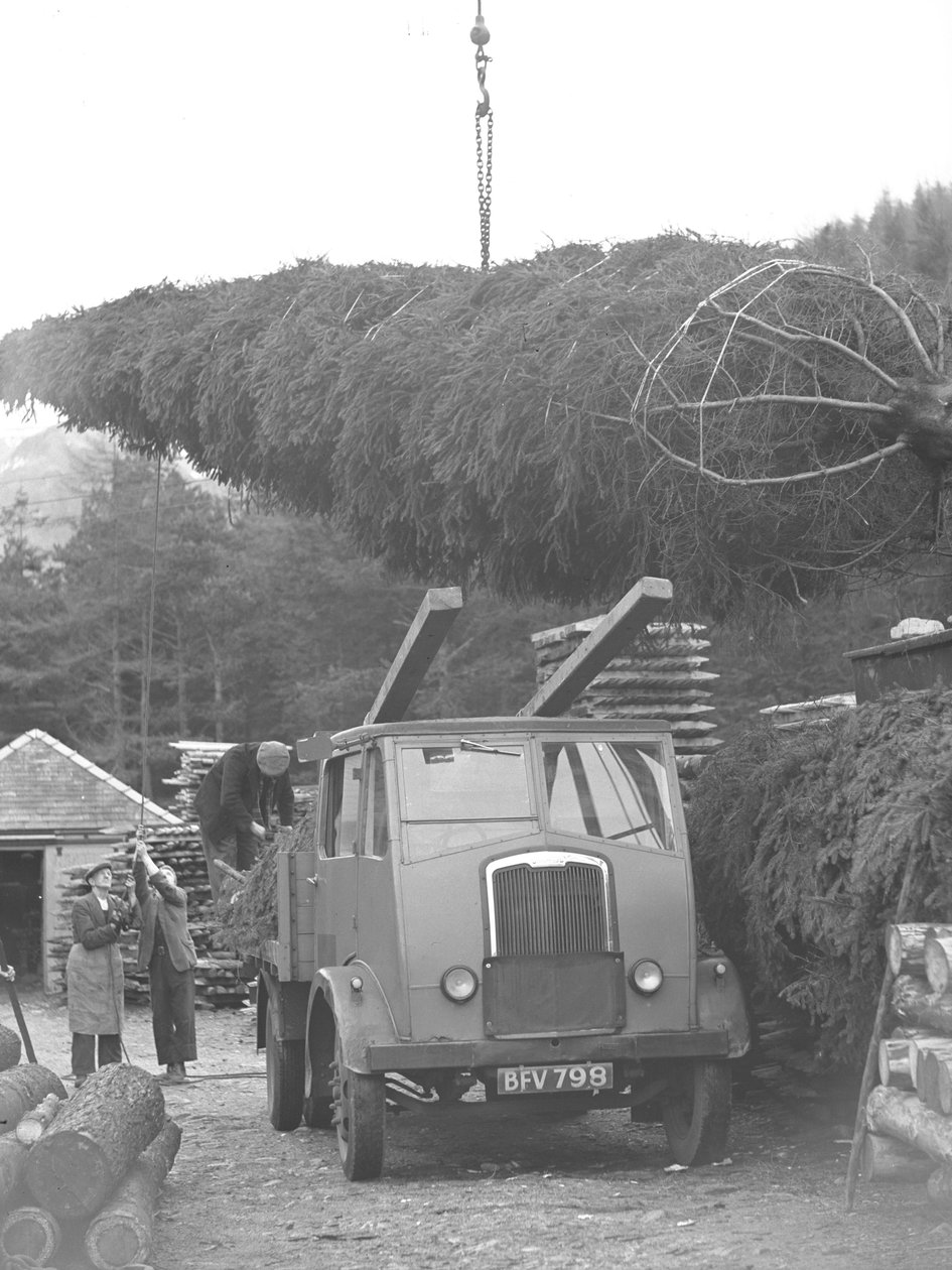 Camión cargado con árboles de Navidad de Joseph Hardman