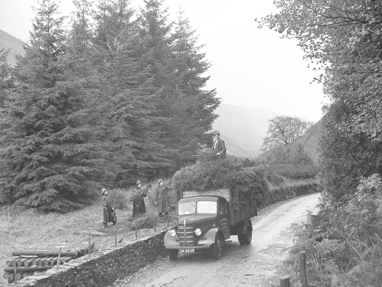 Camión cargado con árboles de Navidad de Joseph Hardman