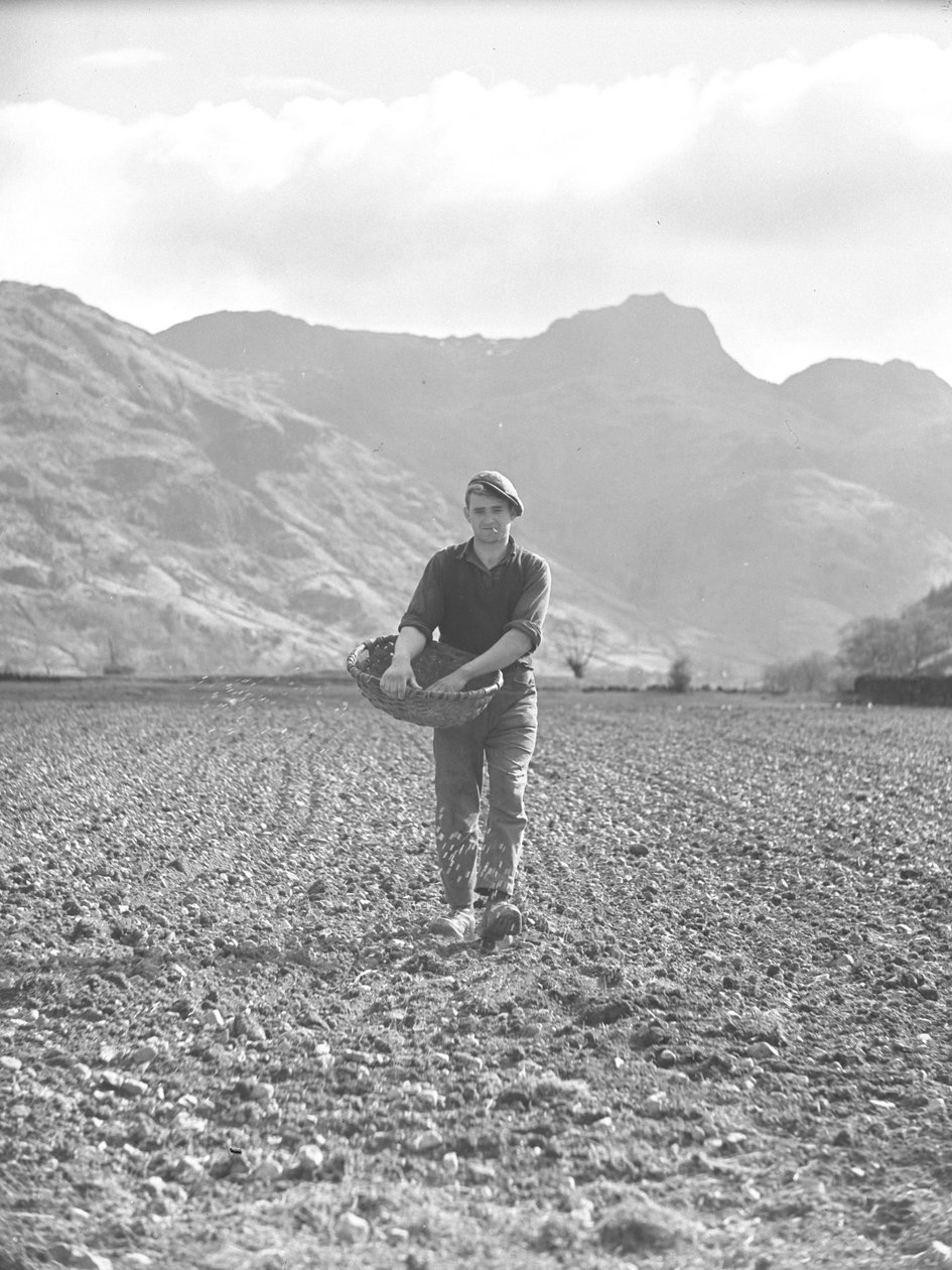 Hombre sembrando semillas de un cesto de basura con Langdales detrás de Joseph Hardman
