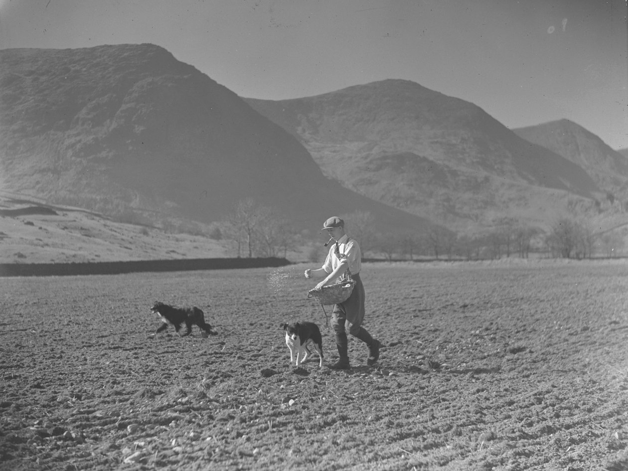 Hombre con cesto de basura y dos perros sembrando semillas de Joseph Hardman