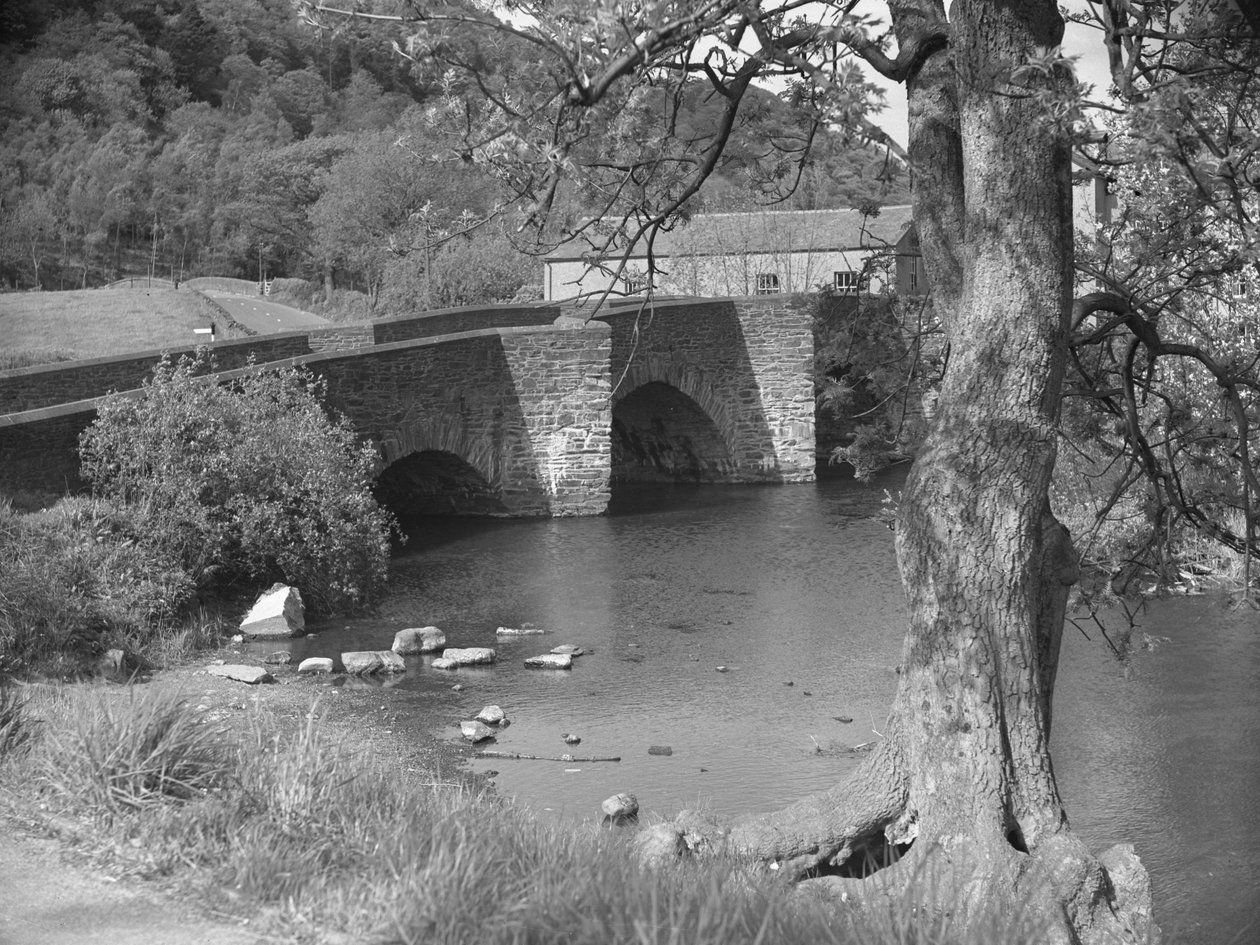 Río y puente en Newby Bridge de Joseph Hardman