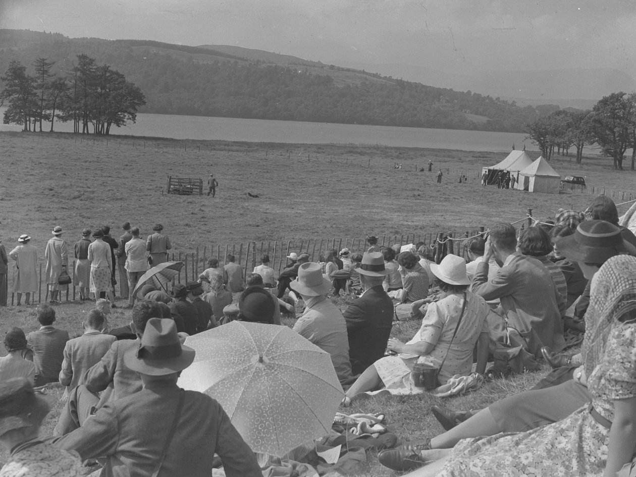 Espectadores observando las pruebas con perros pastores de Joseph Hardman