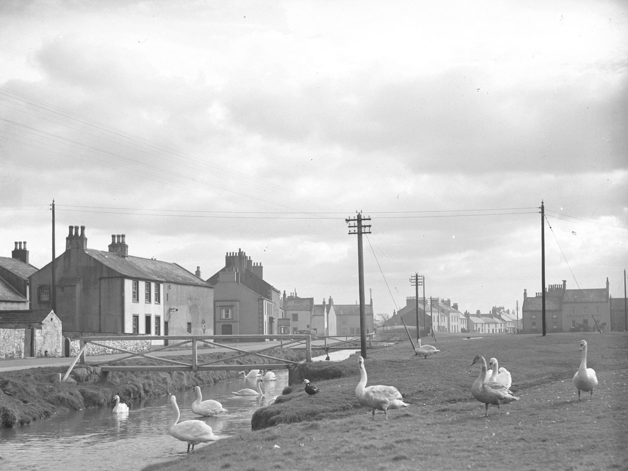 Calle en Allonby con cisnes y arroyo de Joseph Hardman