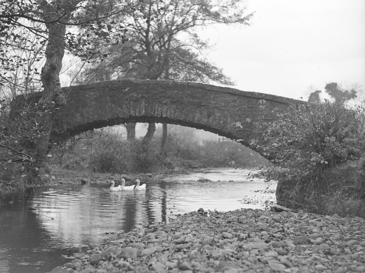 Tres gansos en el agua bajo un puente de piedra de Joseph Hardman