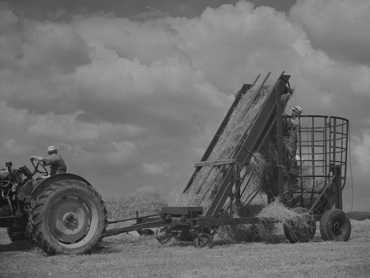 Tractor tirando de un bastidor móvil y heno cargado en él de Joseph Hardman