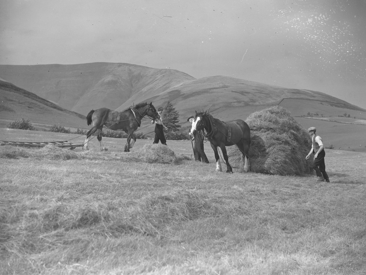 Dos caballos tirando de trineos de Joseph Hardman