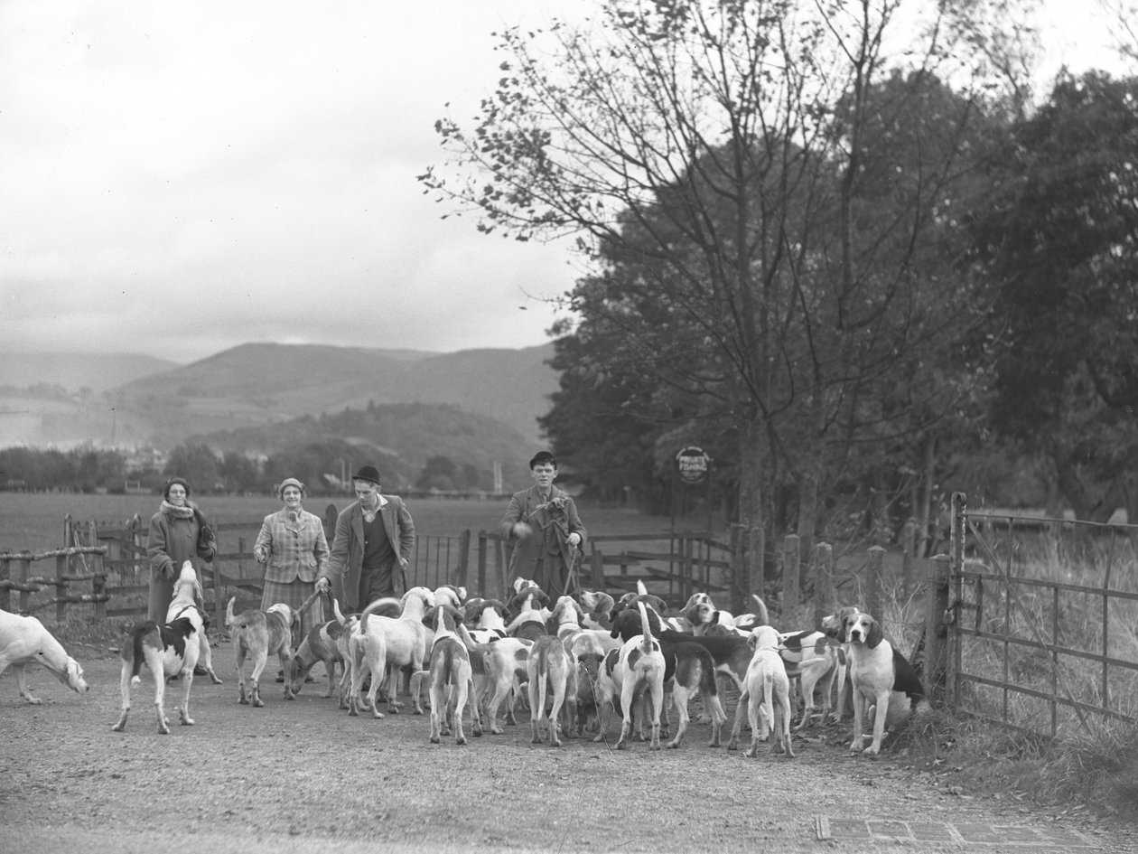 Dos hombres y dos mujeres de pie con un grupo de sabuesos de Joseph Hardman