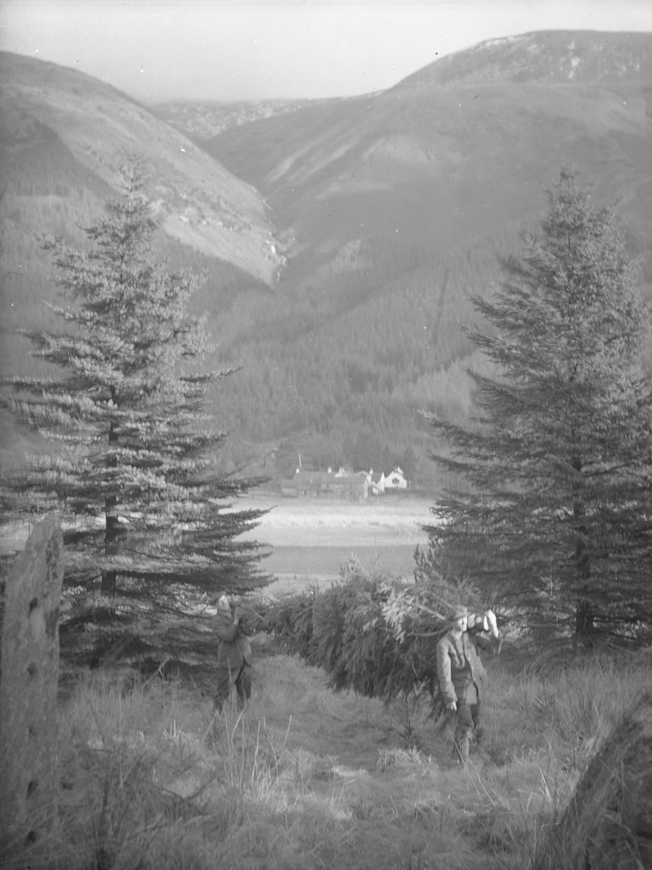 Dos hombres cargando un árbol de navidad con vista atrás de Joseph Hardman