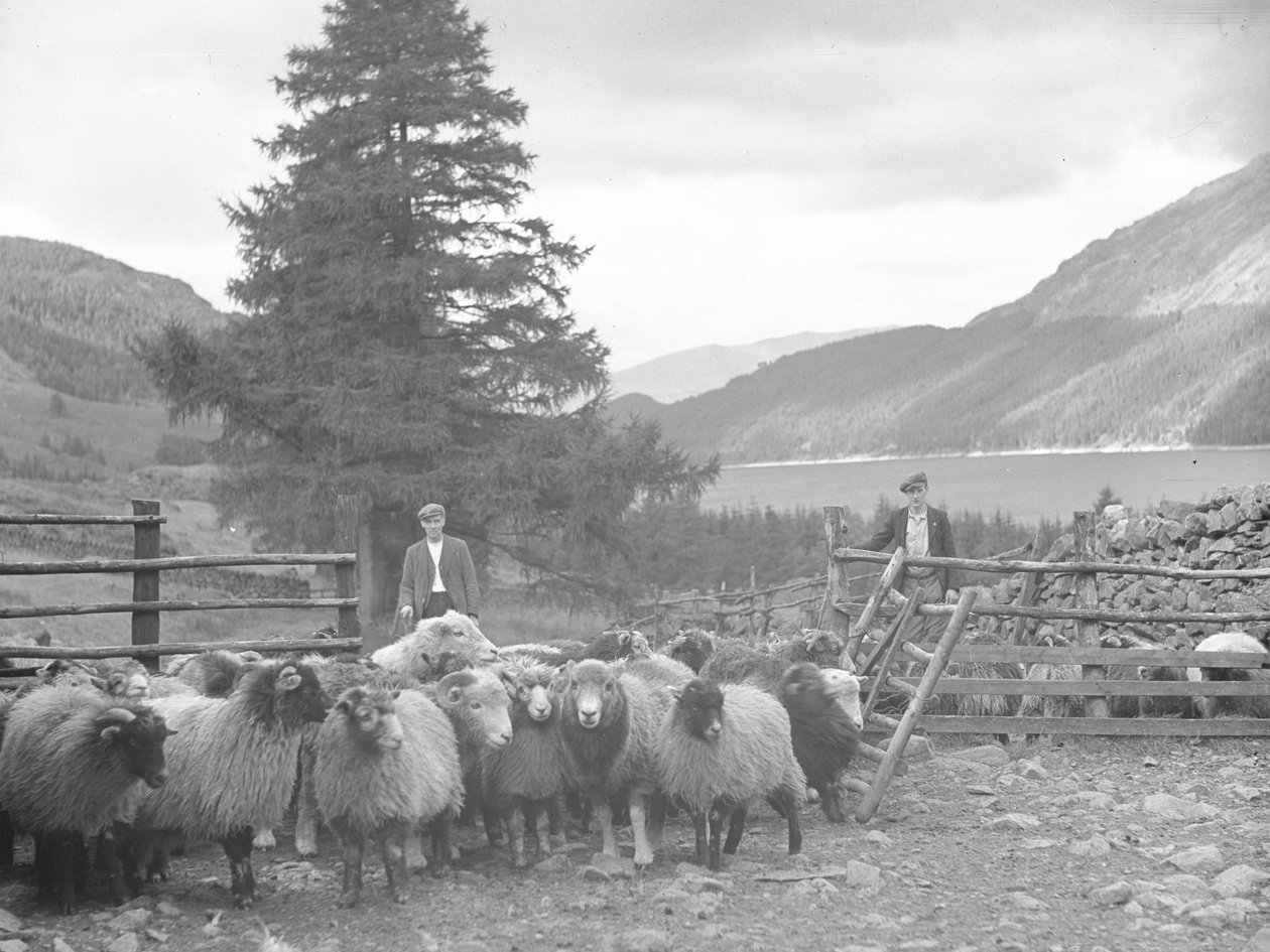 Dos pastores con un rebaño de ovejas y Thirlmere detrás de Joseph Hardman