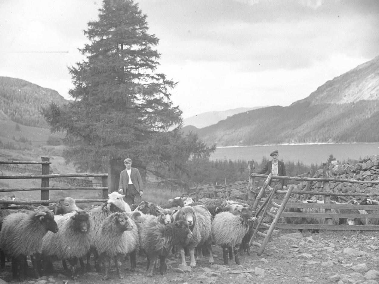 Dos pastores con un rebaño de ovejas y Thirlmere detrás de Joseph Hardman