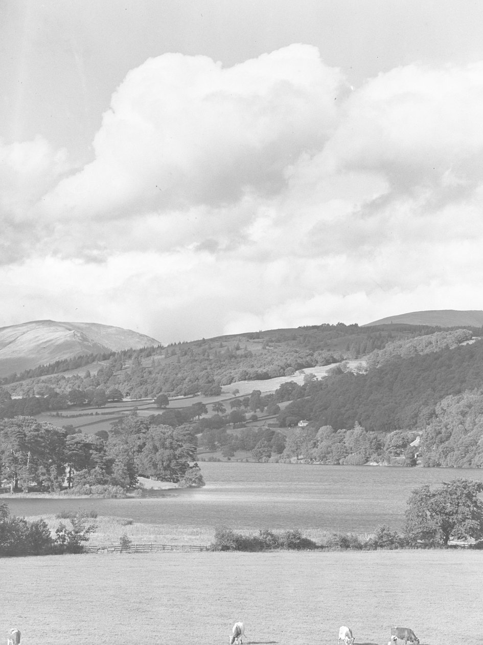 Vista del ganado pastando en los campos hasta el agua de Esthwaite, con bosques y colinas al fondo. de Joseph Hardman