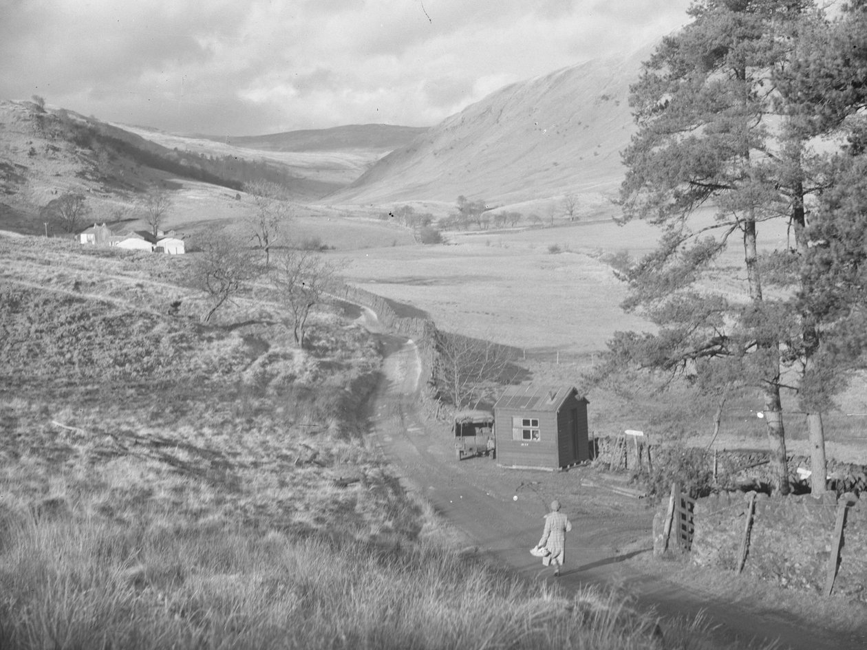 Vista de los campos y colinas de Bannisdale de Joseph Hardman