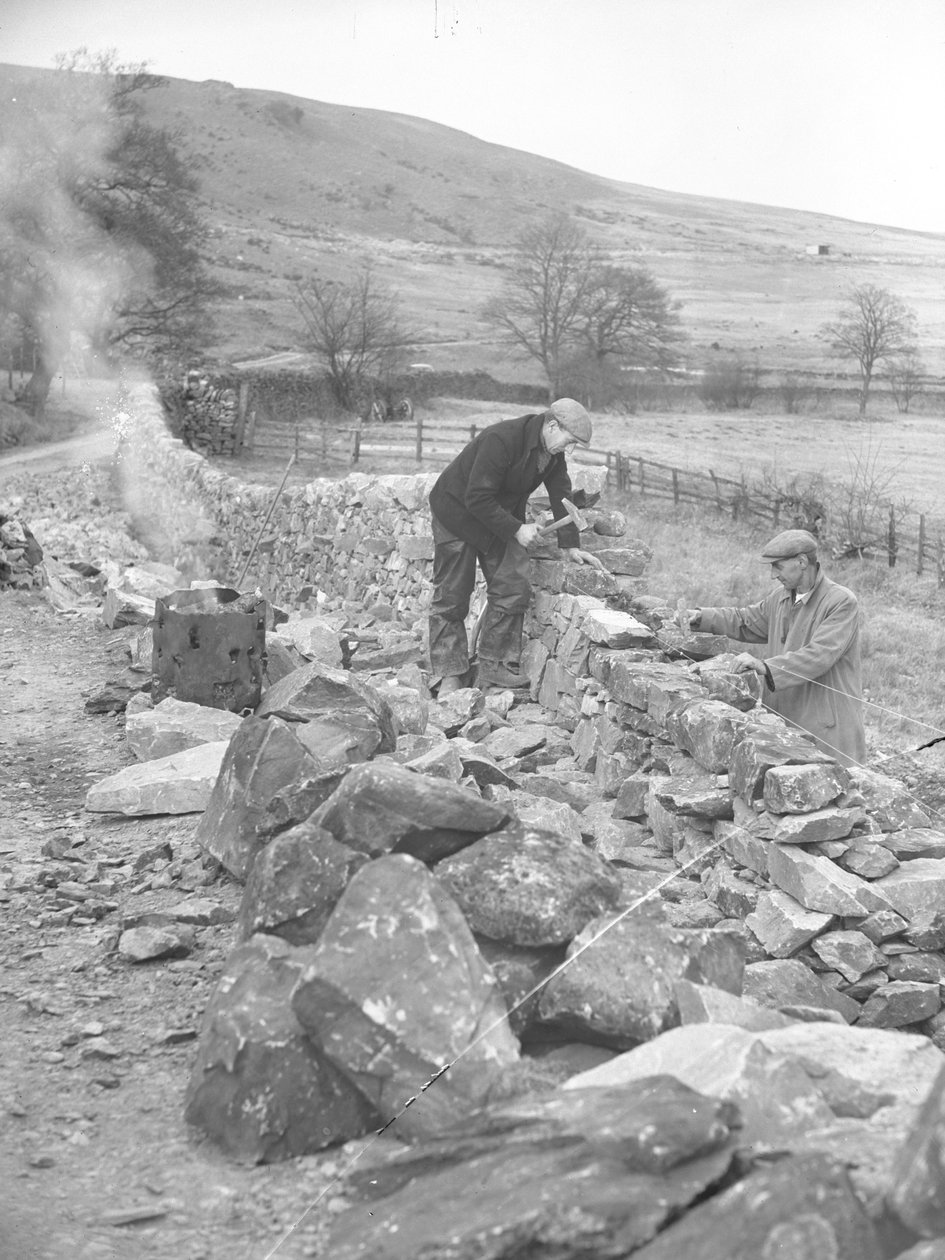 Albañiles trabajando en un muro de piedra seca de Joseph Hardman