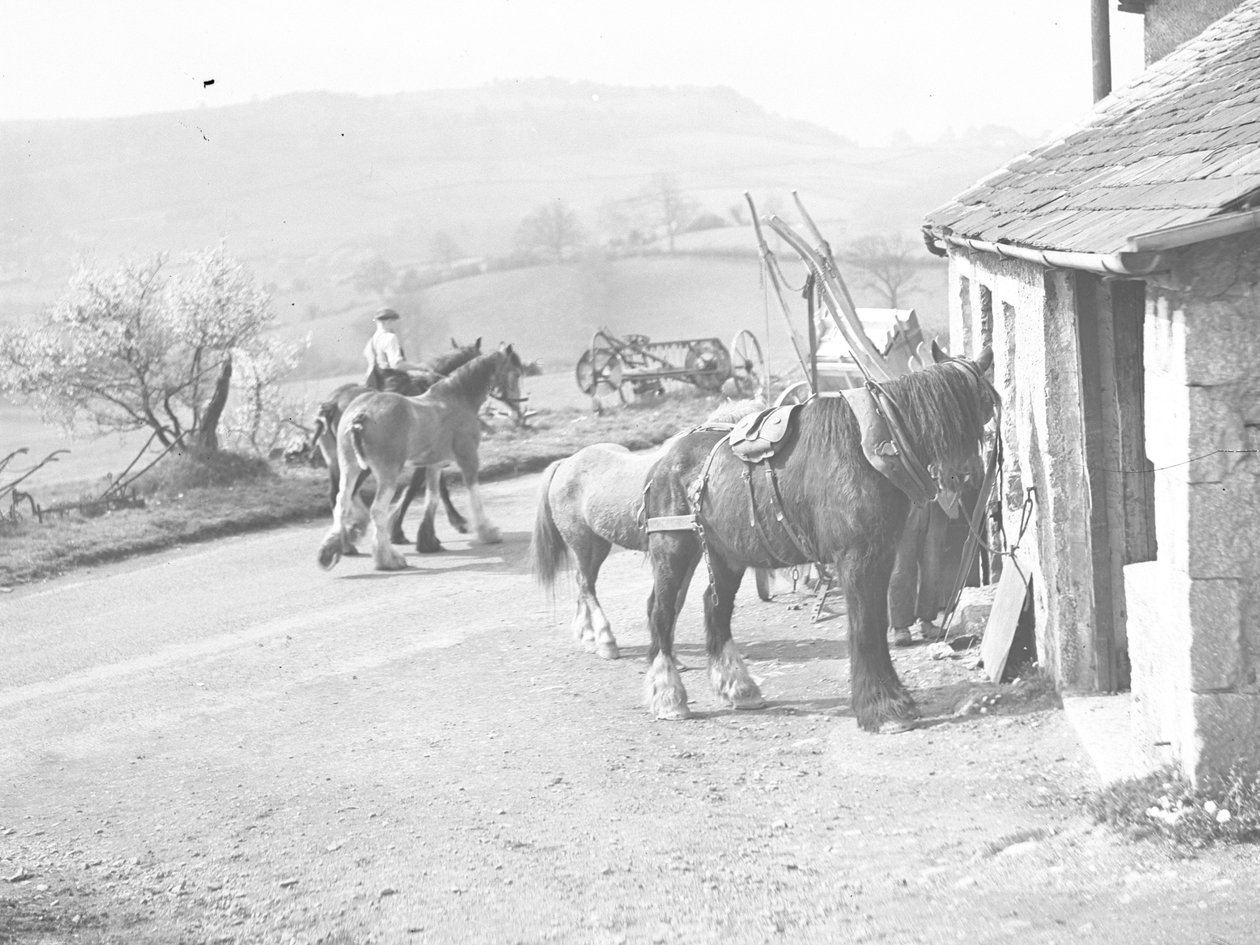 Caballos de trabajo fuera de Crostwaite Smithy de Joseph Hardman