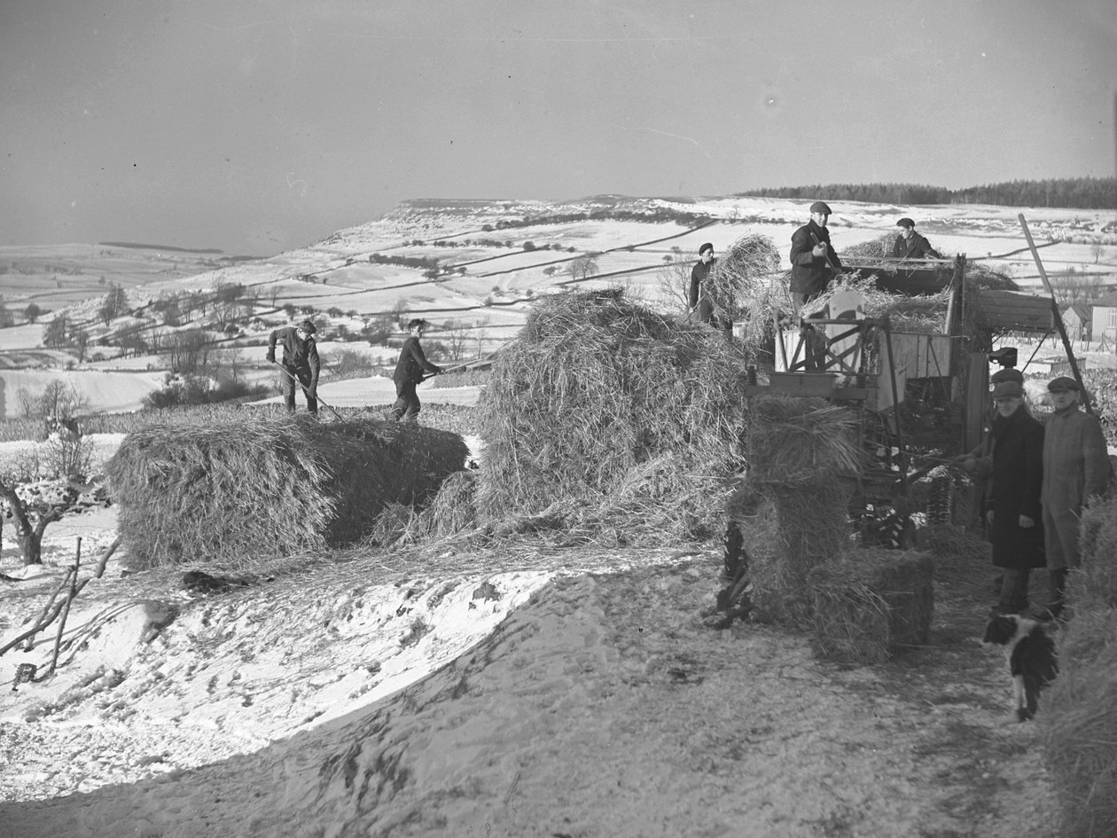 Trabajadores trillando pilas cerca de Bampton de Joseph Hardman