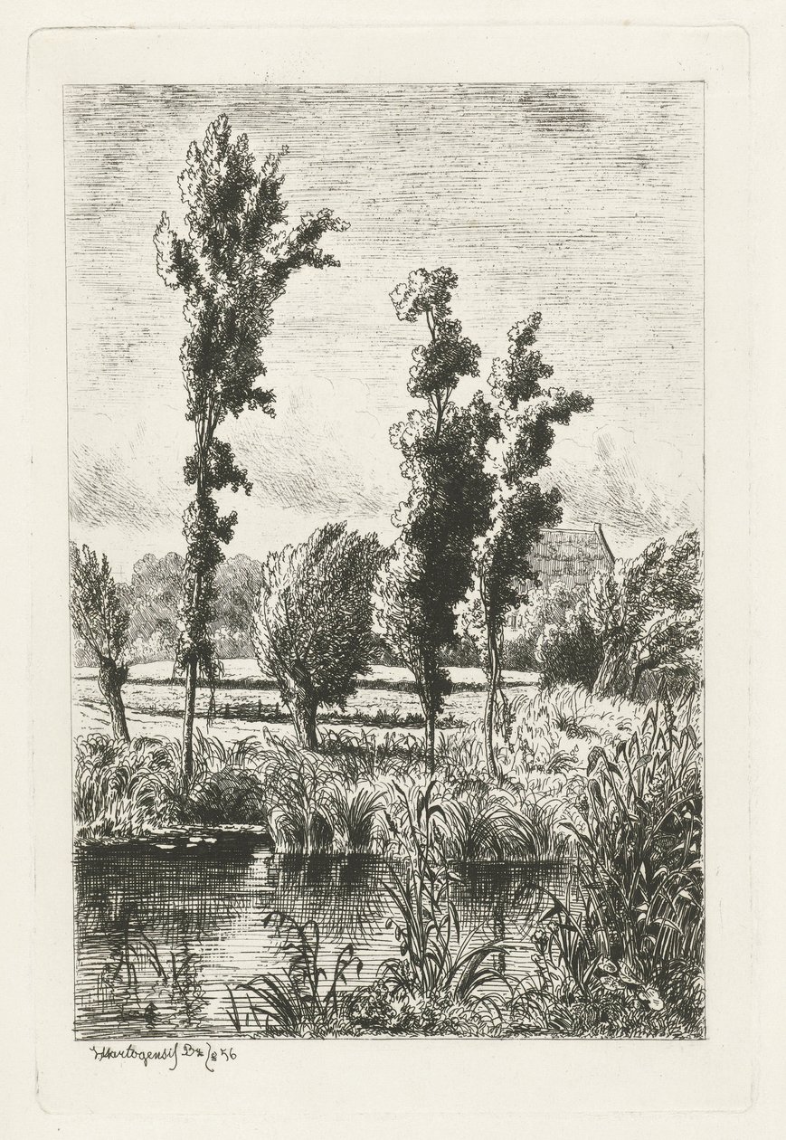 árboles por una zanja de Joseph Hartogensis