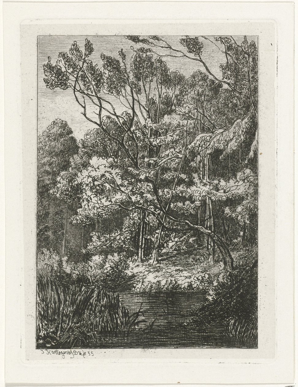 vista al bosque de Joseph Hartogensis