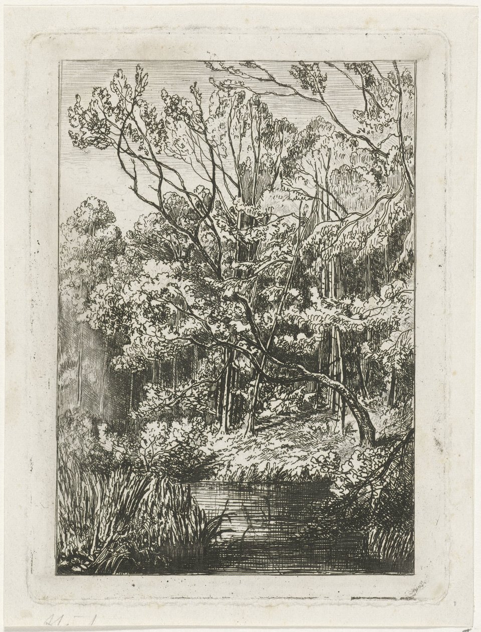 vista al bosque de Joseph Hartogensis