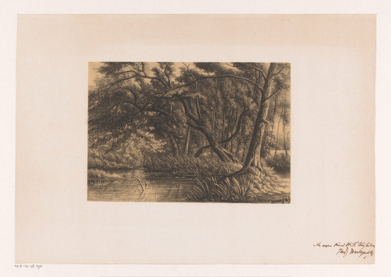 Paisaje forestal con pantanos de Joseph Hartogensis