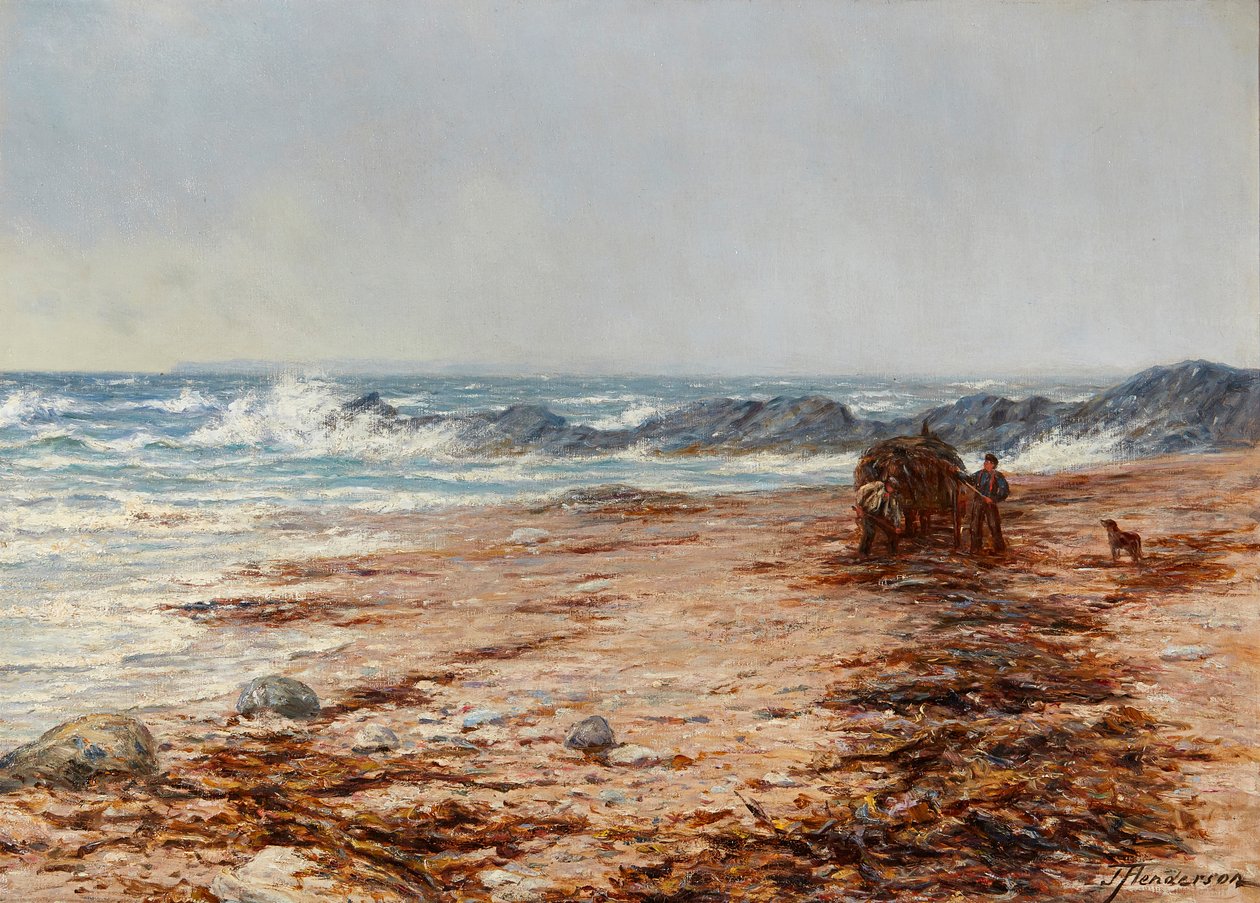 Recolectando algas de Joseph Henderson
