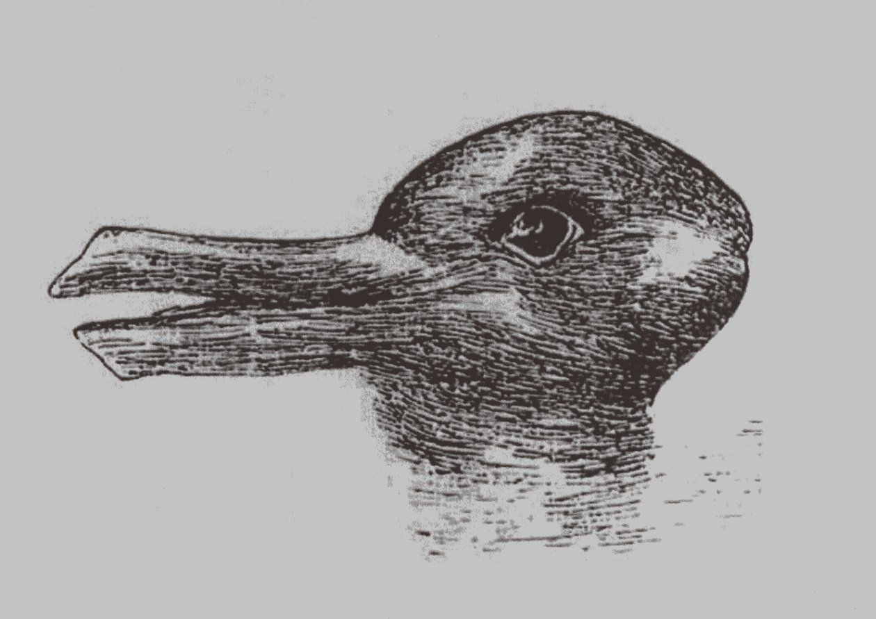 Ilusión pato-conejo. De: Jastrow, J. El ojo de la mente. Popular Science Monthly, 1899 de Joseph Jastrow