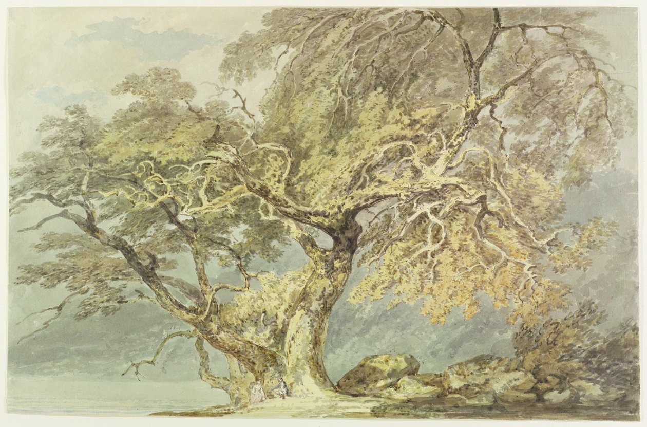 Un gran árbol, c.1796 de Joseph Mallord William Turner
