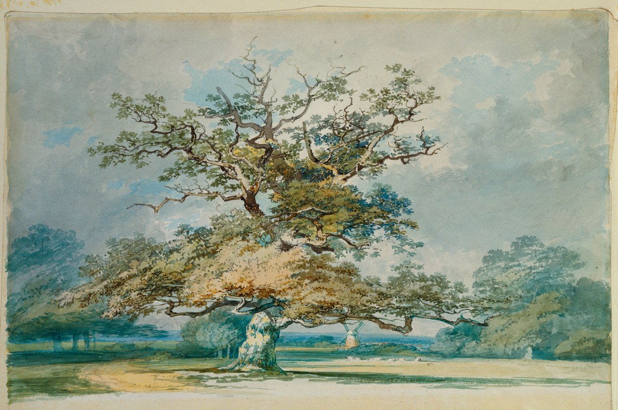 Un paisaje con un viejo roble de Joseph Mallord William Turner