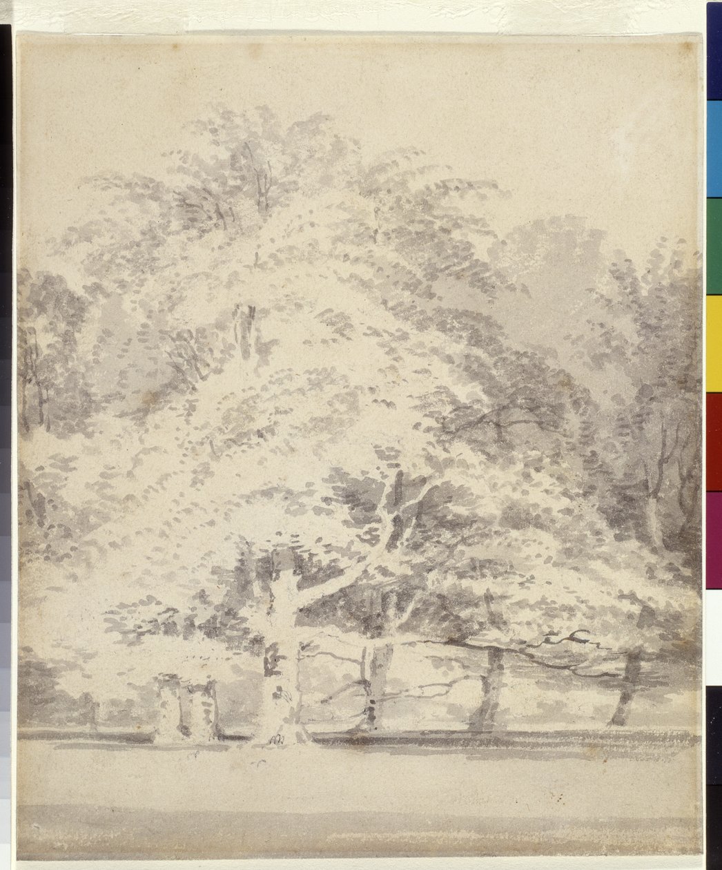 Hayas (tinta gris lavada sobre lápiz sobre papel blanco) de Joseph Mallord William Turner