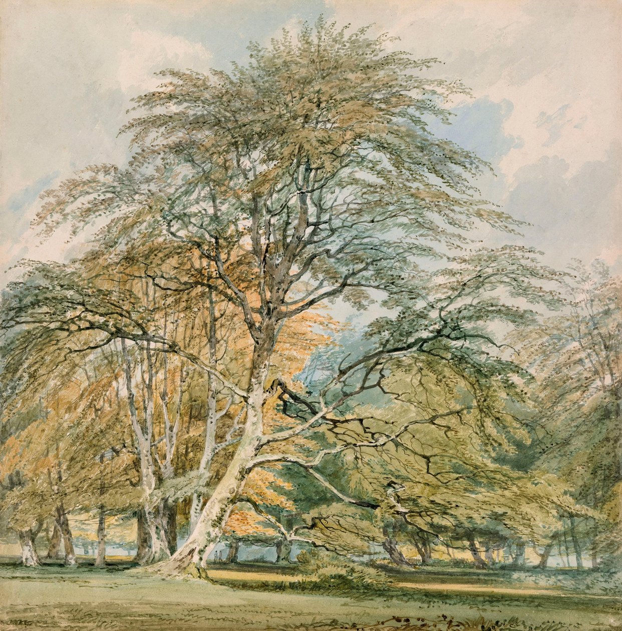 Hayas en Norbury Park, Leatherhead, Surrey de Joseph Mallord William Turner