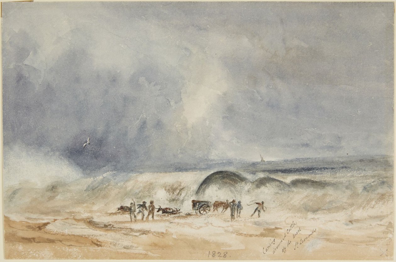 Retirada de ganado ahogado de la playa, St. Leonards de Joseph Mallord William Turner