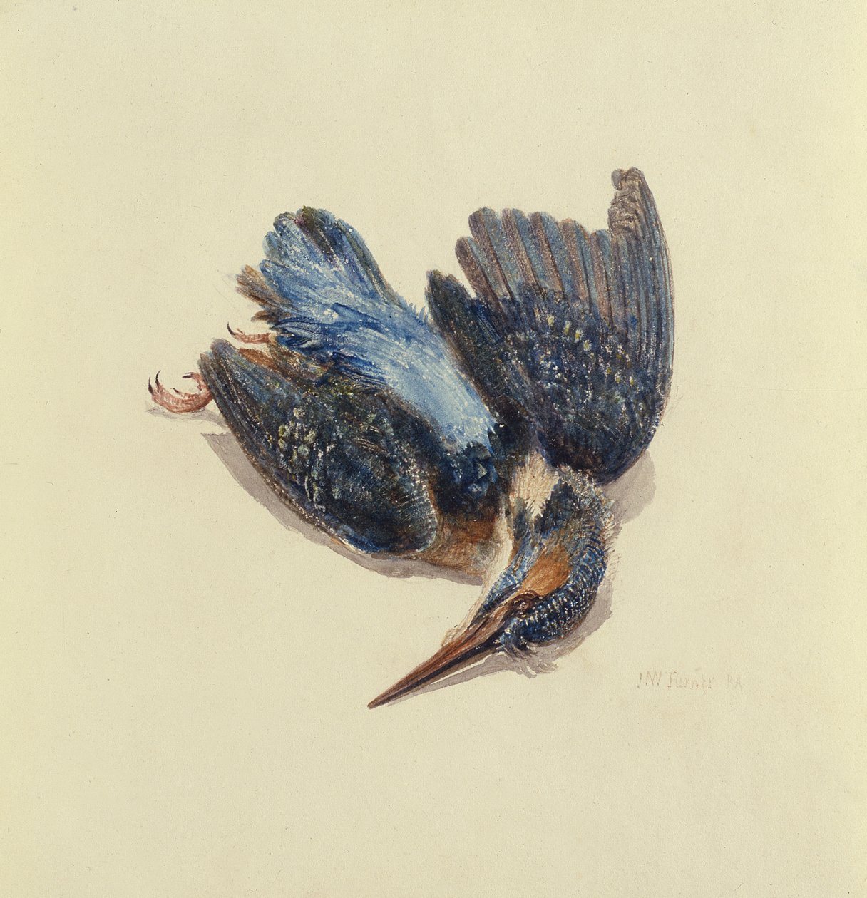 Martín pescador, del Libro de Aves de Farnley, c.1816 de Joseph Mallord William Turner