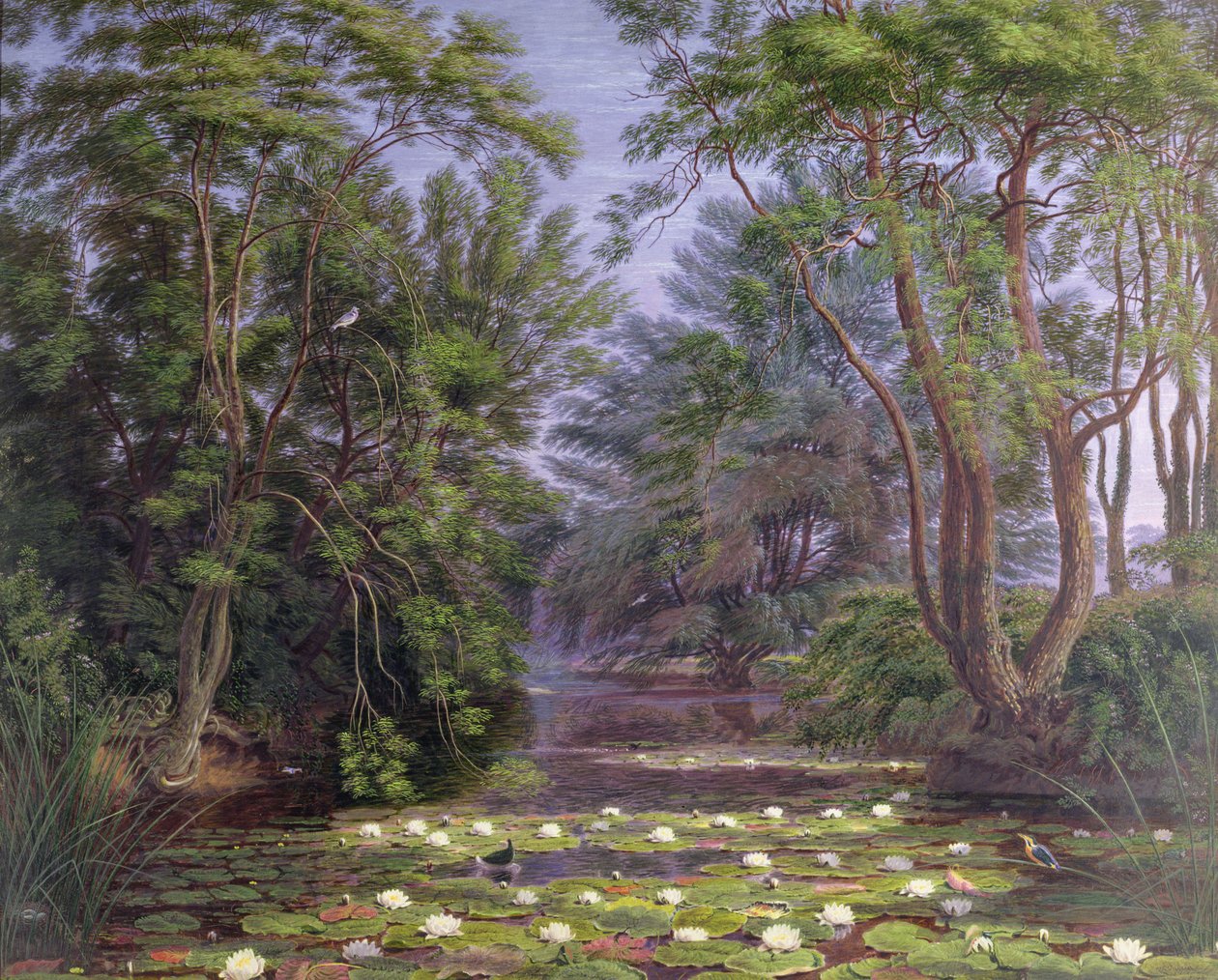 Nenúfares del río Cherwell, 1851 de Joseph Mallord William Turner