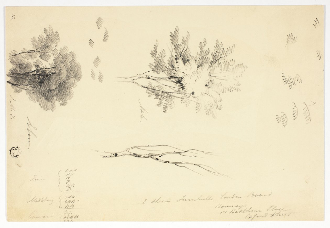 Bocetos de olmos y fresnos de Joseph Mallord William Turner