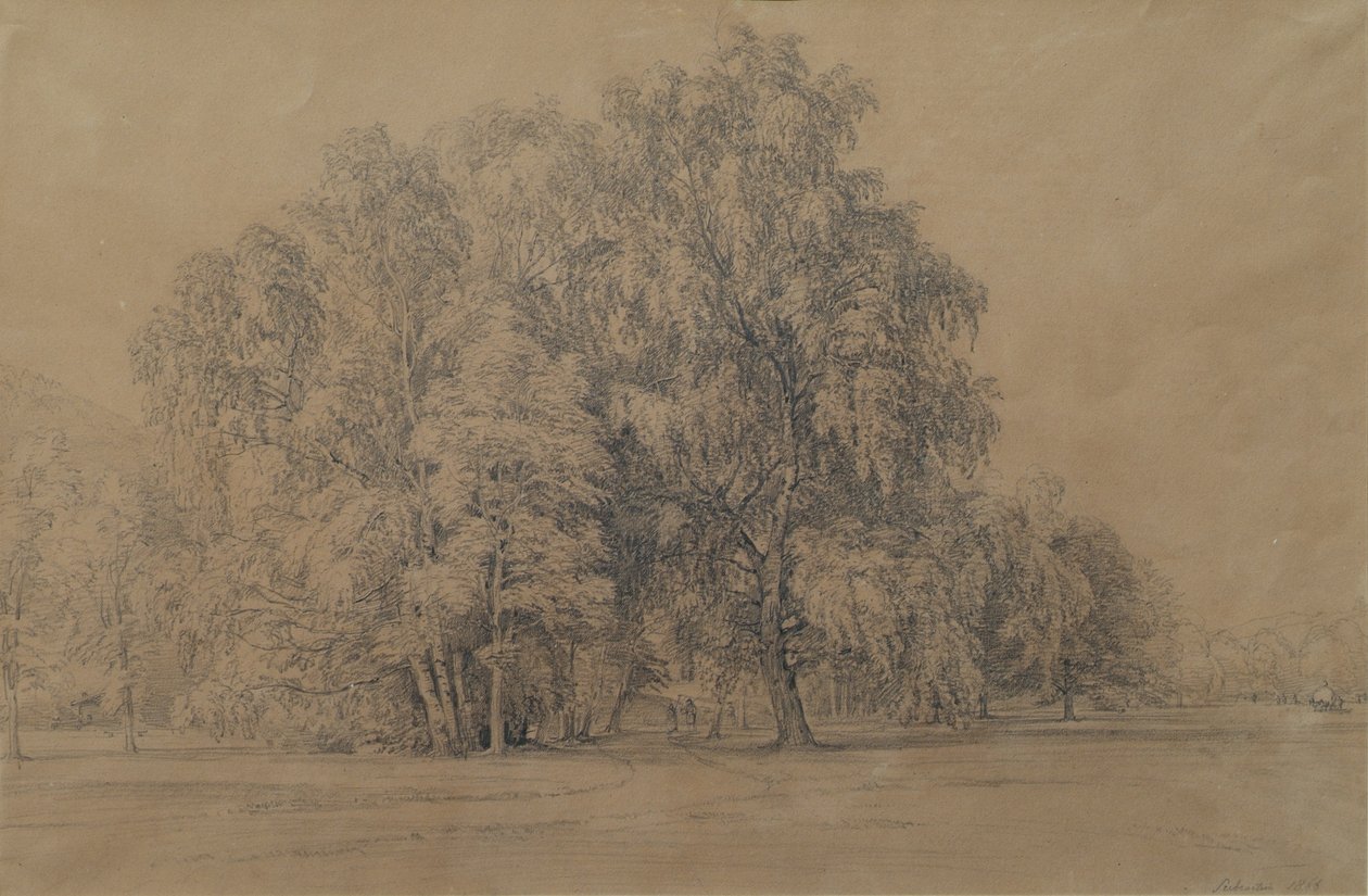 Grupo de abedules en el parque del castillo de Seebenstein en Baja Austria de Joseph Martin Höger