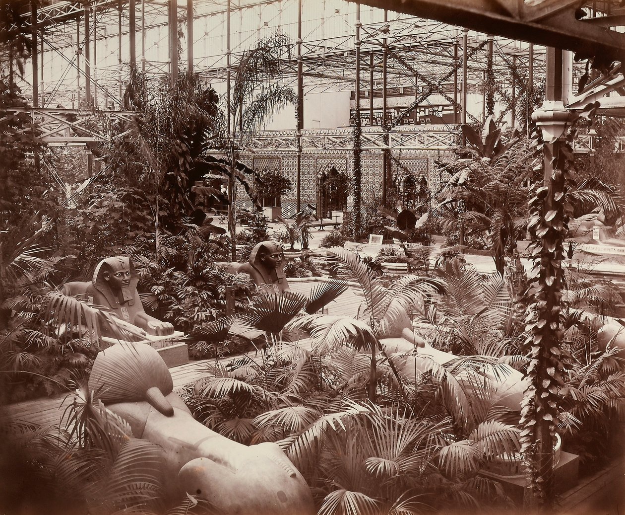 El Palacio de Cristal en Londres: la sección tropical, c.1870 (foto en blanco y negro) de Joseph Paxton