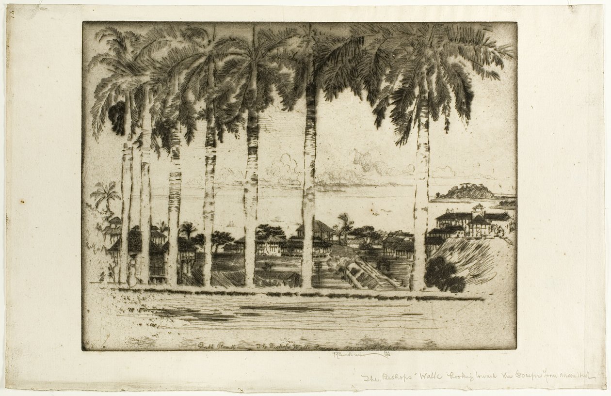 Paseo de los Obispos, Cerro Ancón, Panamá de Joseph Pennell