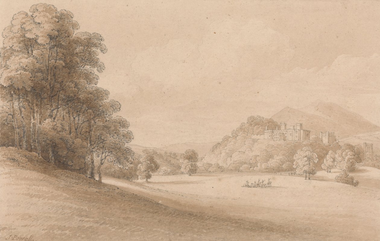 Castillo de Dunster, Somerset: Mostrando el castillo en la distancia de Joseph Powell