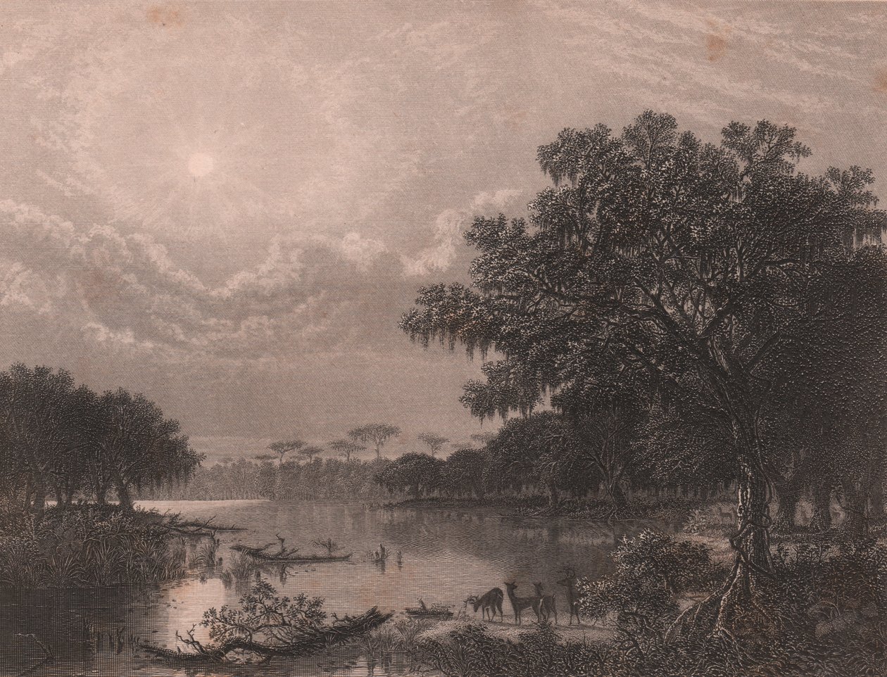 Bayou de Luisiana, Estados Unidos, grabado en acero de Robert Hinshelwood (1812-después de 1875) según pintura de Joseph Rusling Meeker (1827-1889), 16x18 cm aprox. de Joseph Rusling Meeker