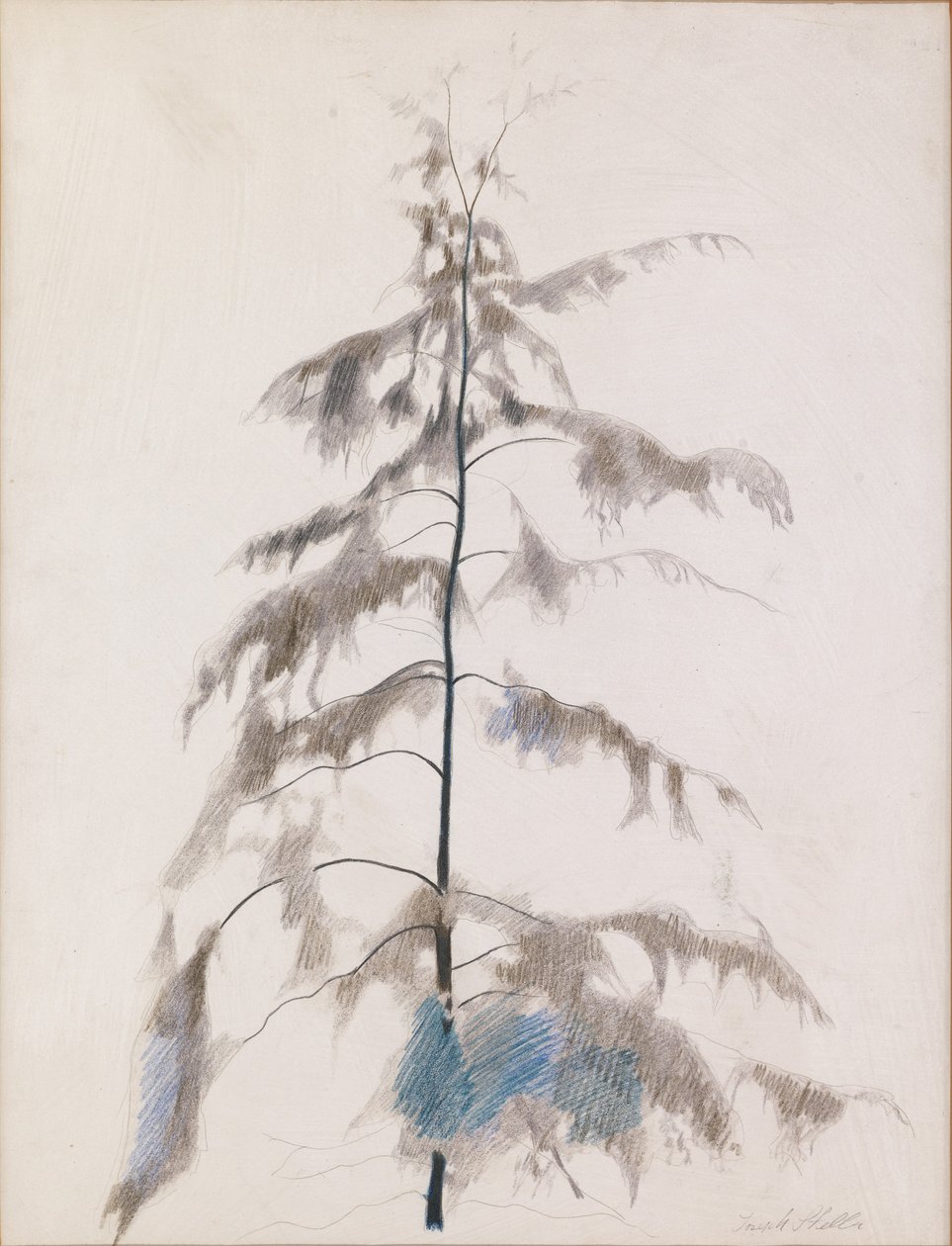 Pino de Joseph Stella