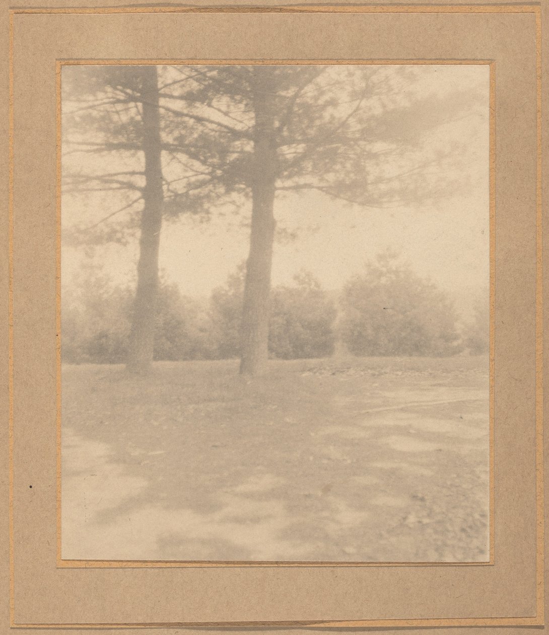 Paisaje con árboles de Joseph T. Keiley