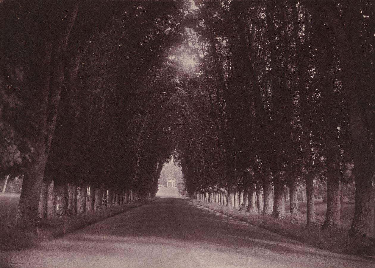Camino de entrada, Château de Grand-Vaux, Savigny-sur-Orge, la casa familiar de Vigier,c. 1855 (foto) de Joseph Vigier