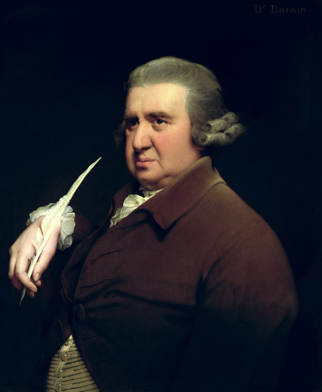 Retrato del Dr. Erasmus Darwin (1731-1802) científico, inventor y poeta, abuelo de Charles Darwin de Joseph Wright of Derby